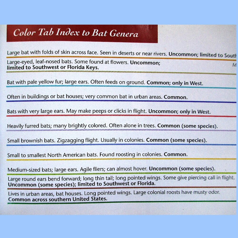 Book: Stokes Beginner's Guide to Bats -- a pocket-sized field guide - Picture 13 of 16